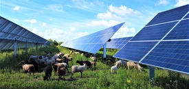 故事图片”></a>
            <figcaption>
             <img class=